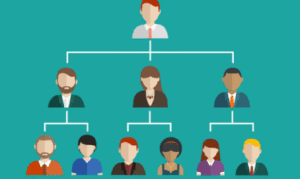 Comment une entreprise se structure-t-elle ?